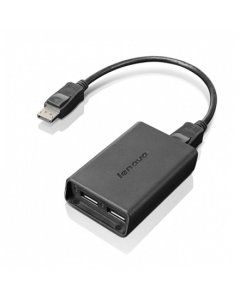 Lenovo Black | USB A | USB A | DisplayPort to Dual-DisplayPort Monitor Cable